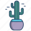 saguaro, cactus 