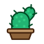 cactus, furniture, nature, plant, tree 