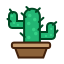 cactus, furniture, nature, plant, tree 