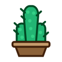 cactus, furniture, nature, plant, tree