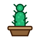cactus, furniture, nature, plant, tree