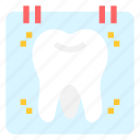 dental, checkup, dentist, tooth, molars, teeth, annual, event, calendar