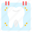 dental, checkup, dentist, tooth, molars, teeth, annual, event, calendar 