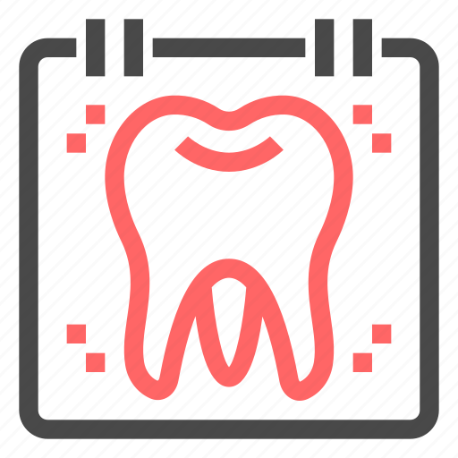 Dental, checkup, dentist, tooth, molars, teeth, annual icon - Download on Iconfinder