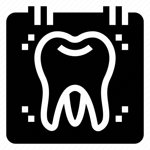 Dental, checkup, dentist, tooth, molars, teeth, annual icon - Download on Iconfinder
