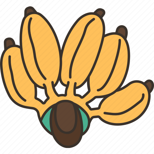 Banana, fruit, fresh, agriculture, cambodia icon - Download on Iconfinder