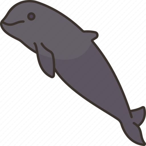 Dolphin, irrawaddy, wildlife, animal, mekong icon - Download on Iconfinder