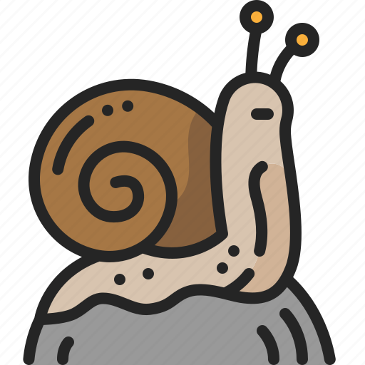 Wild, animal, humidity, wildlife, snail, shell icon - Download on Iconfinder
