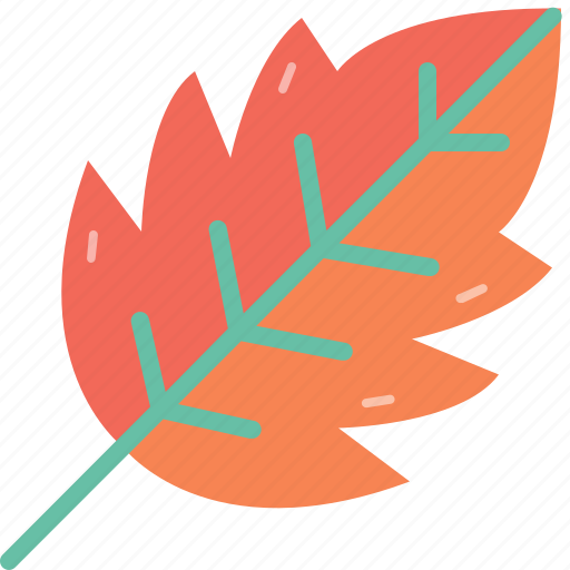 Autumn, environment, forest, leaf, leave, nature, tree icon - Download on Iconfinder