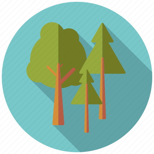 Camping, forest, nature, outdoors, pine, trees, woods icon - Download on Iconfinder