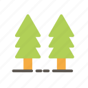 camping, forest, mount, pine, survival, tree