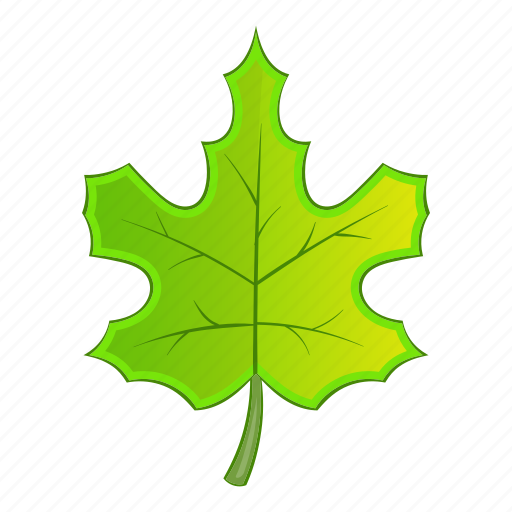 Green, leaf, maple, nature icon - Download on Iconfinder