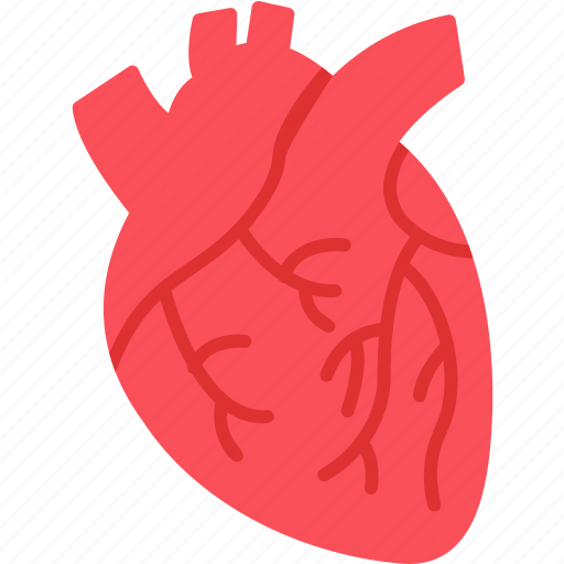 Heart, love, valentines, valentine, health, 1 icon - Download on Iconfinder