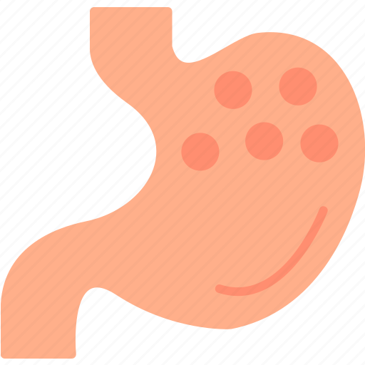 Stomach, abdomen, digestion, gaster, organ icon - Download on Iconfinder