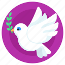 peace bird, dove, columbidae, bird, dove pacifist