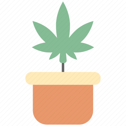 Pot, plant pot, cannabis, marijuana, plant, nature, leaf icon - Download on Iconfinder