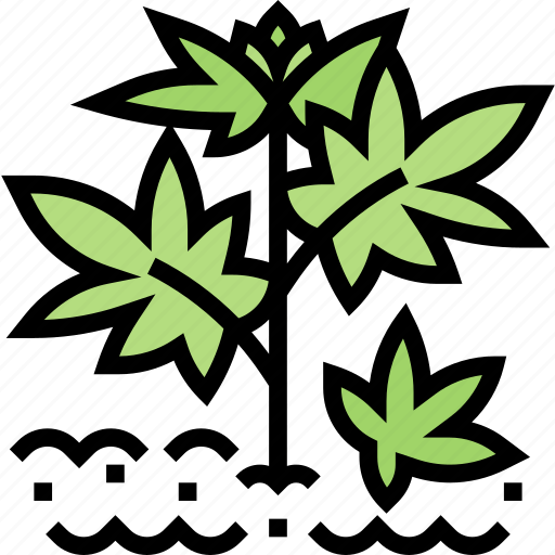 Hemp, plant, agriculture, cannabis, farming icon - Download on Iconfinder