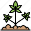cannabis, drug, grow, herbal, marijuana 