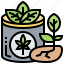 cannabis, herb, organic, plant, seed 