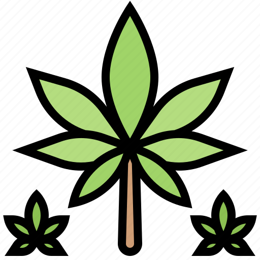 Drug, foliage, fresh, hemp, leaf icon - Download on Iconfinder