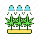 cannabis, gardening, hemp, marijuana