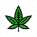 cannabis, plant, leaf, hemp, weed, marijuana
