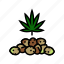 cannabis, seeds, plant, leaf, weed, hemp 