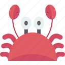 hat, crab, sea, costume, fancy
