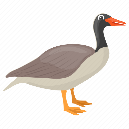 Canadian goose, goose decoys, sparkling goose, specklebelly bird, wild goose icon - Download on Iconfinder
