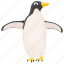 arctic animal, emperor penguin, feather creature, fowl, penguin 