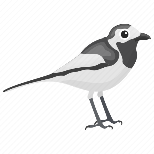 Bird, feather creature, gauraiya bird, house sparrow, sparrow icon - Download on Iconfinder