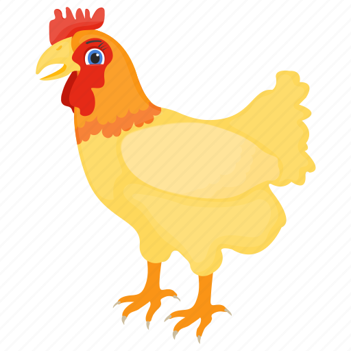 Bird, chicken, domestic animal, domesticated fowl, hen icon - Download on Iconfinder