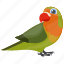 bird, feather creature, macaw, parrot, pet bird 