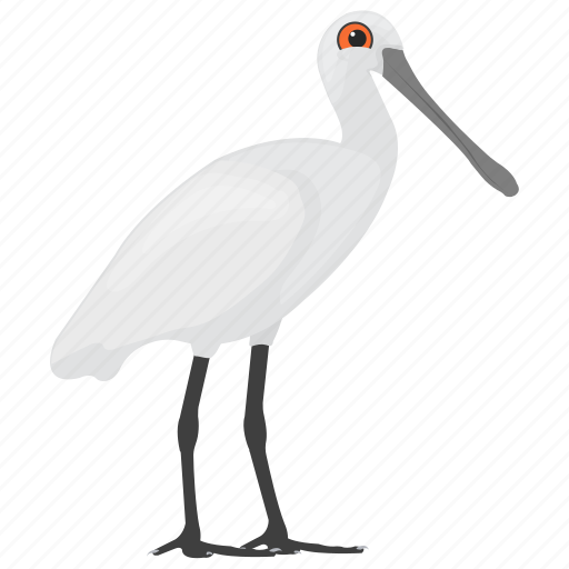 Beach bird, bird, feather creature, herons, white herons icon - Download on Iconfinder
