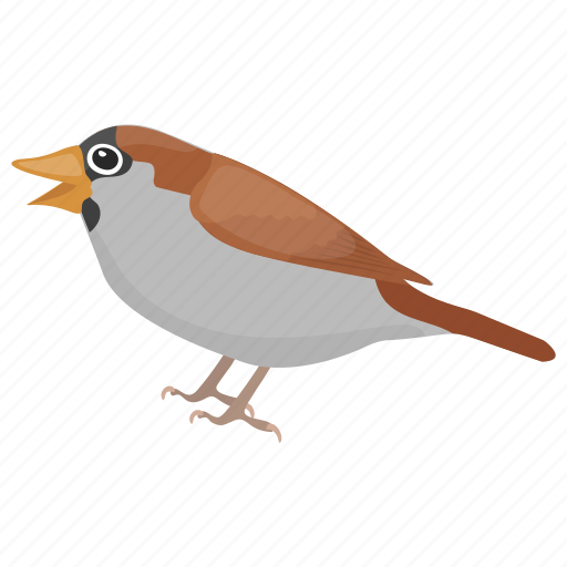 Bird, feather creature, gauraiya sparrow, house finches, house sparrow, sparrow icon - Download on Iconfinder