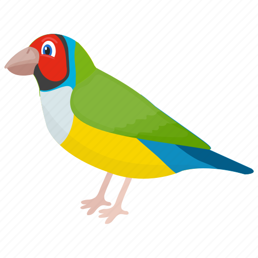 Bird, feather creature, macaw, parrot, pet bird icon - Download on Iconfinder