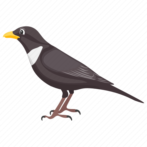 Bird, black bird, egyptian plover, feather creature, fowl icon - Download on Iconfinder