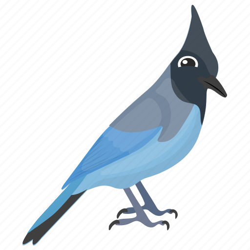 Blue jay, feather creature, fowl, mockingbird, pet animal icon - Download on Iconfinder