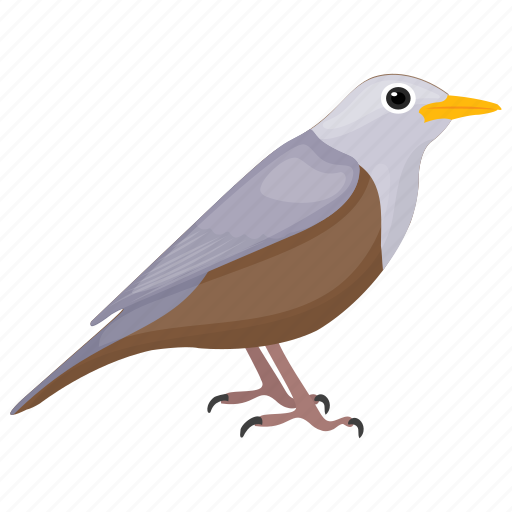 Bird, mimidae, mississippi symbol, mockingbird, passerine bird icon - Download on Iconfinder