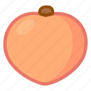 peach, apricot, fruit, cartoon, cute, food