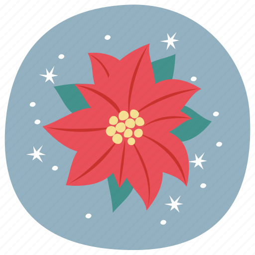 Poinsettia, flower, leaf, christmas, winter, noel icon - Download on Iconfinder