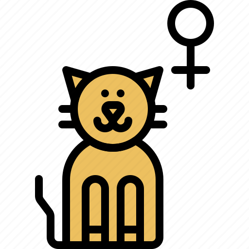 Pussycat, female, kitty, kitten, domestic, cat, pet icon - Download on Iconfinder