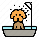 dog, bathing, grooming, bath, care, pet