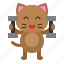avatar, cat, dumbbell, exercise, kitten 