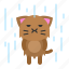 avatar, cat, kitten, rain, raining, wet 