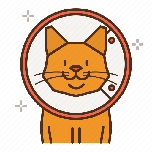 Cat, care, cone, collar, recover, surgery icon - Download on Iconfinder