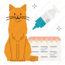 cat, care, vaccinations, medicine, schedule