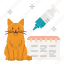cat, care, vaccinations, medicine, schedule, kitty 