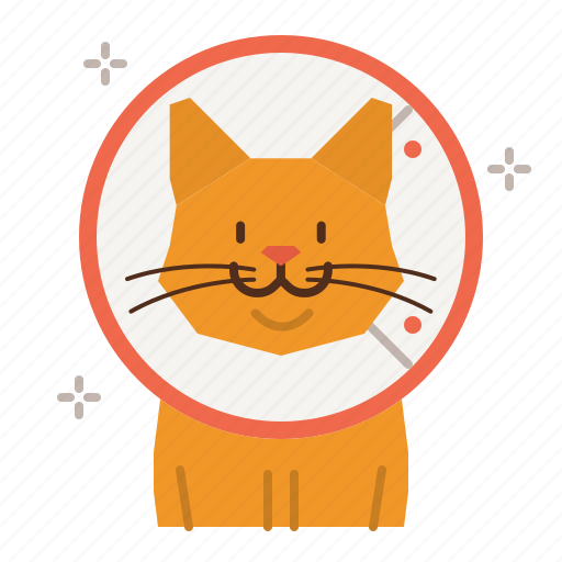 Cat, care, cone, collar, recover, surgery icon - Download on Iconfinder