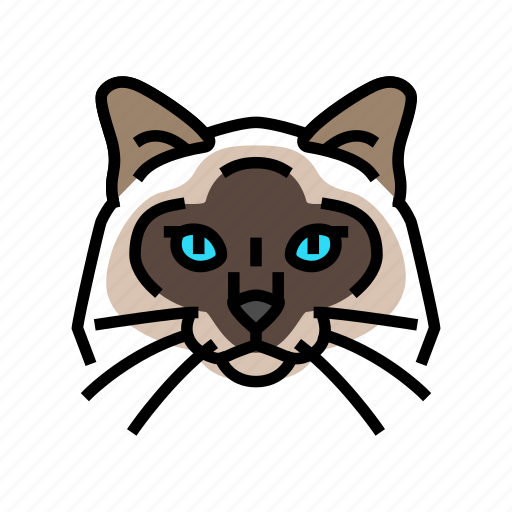 Birman, cat, cute, pet, animal, kitten icon - Download on Iconfinder